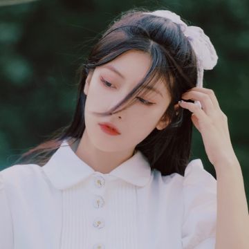 第五龙域官方版下载